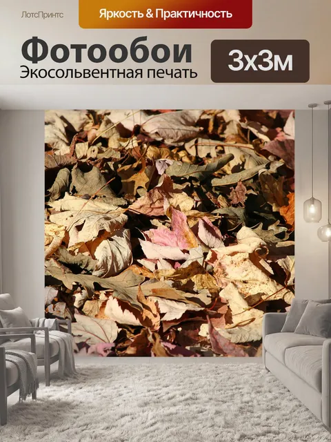 Фотообои Опавшие листья