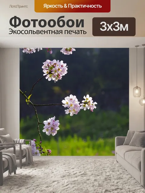 Фотообои Цветение вишни
