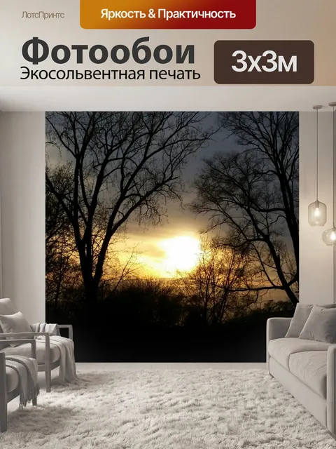 Фотообои Поздняя весна Закат