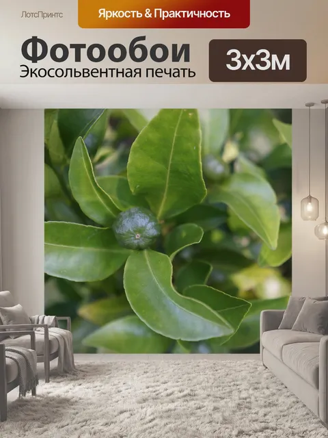 Фотообои Дерево