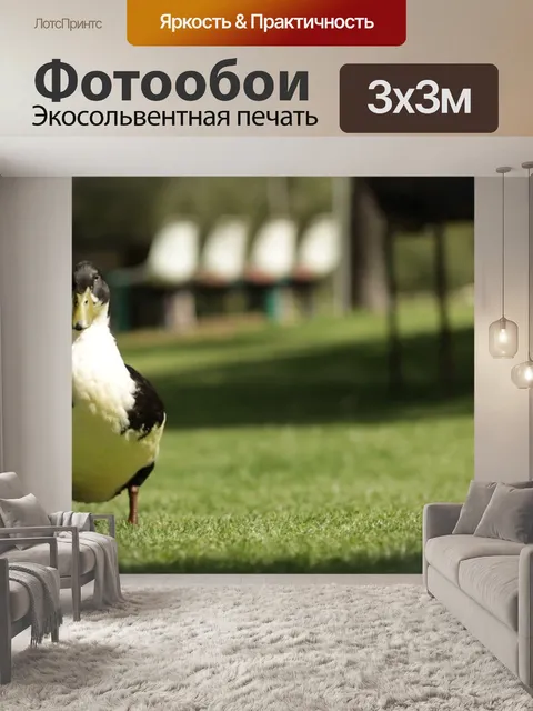 Фотообои Трава