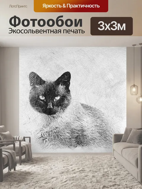 Фотообои Сиамская кошка