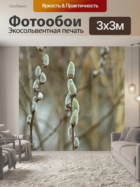 Фотообои Барка