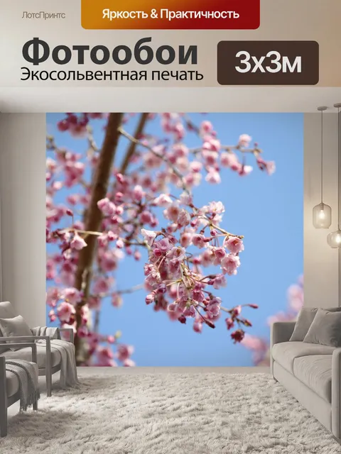 Фотообои Цветение вишни