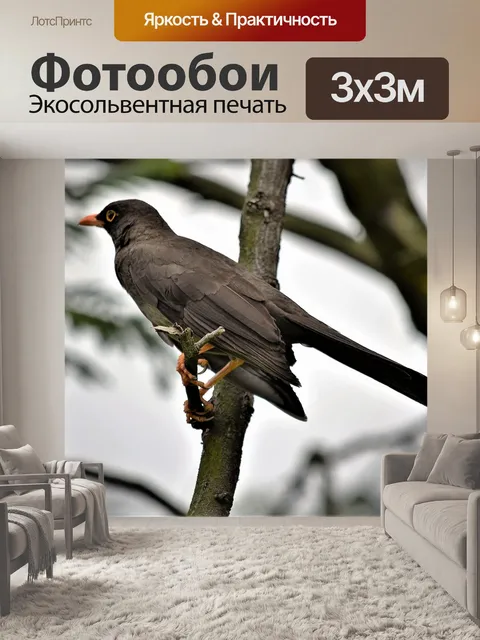 Фотообои Птица