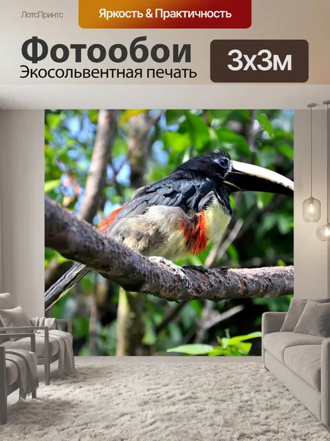 Фотообои Птица