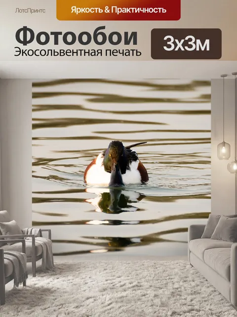 Фотообои Птица