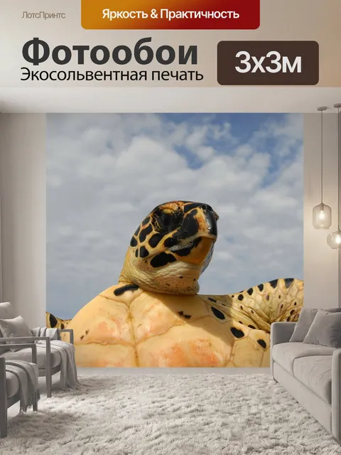 Фотообои Море