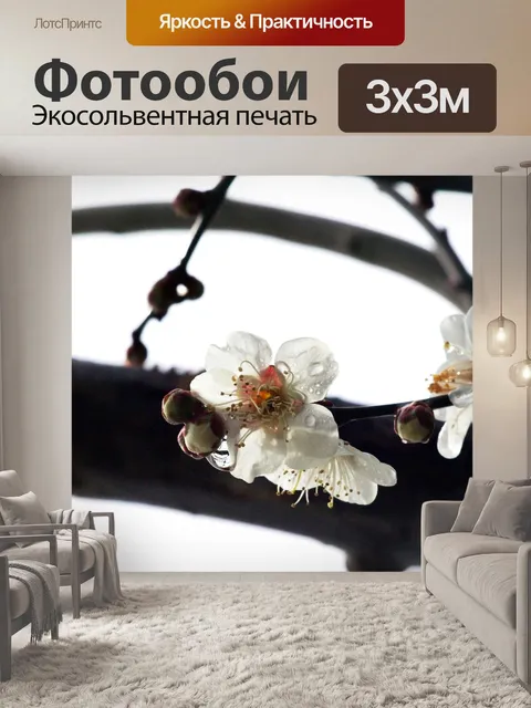 Фотообои Природные