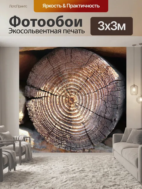 Фотообои Ствол