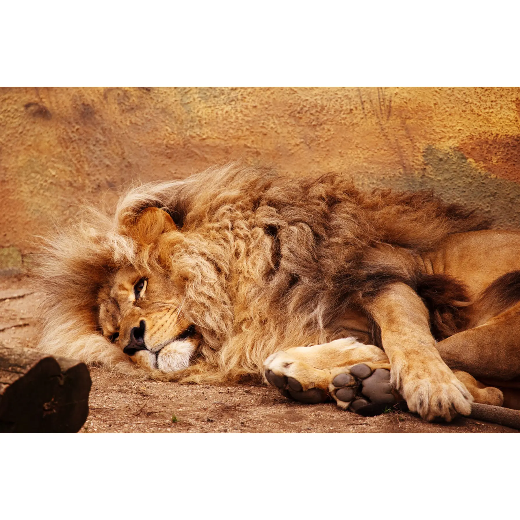 Изображение для выбора фрагмента