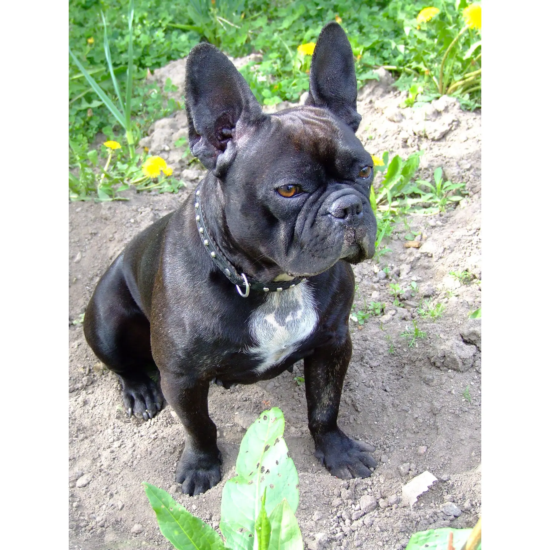 Изображение для выбора фрагмента