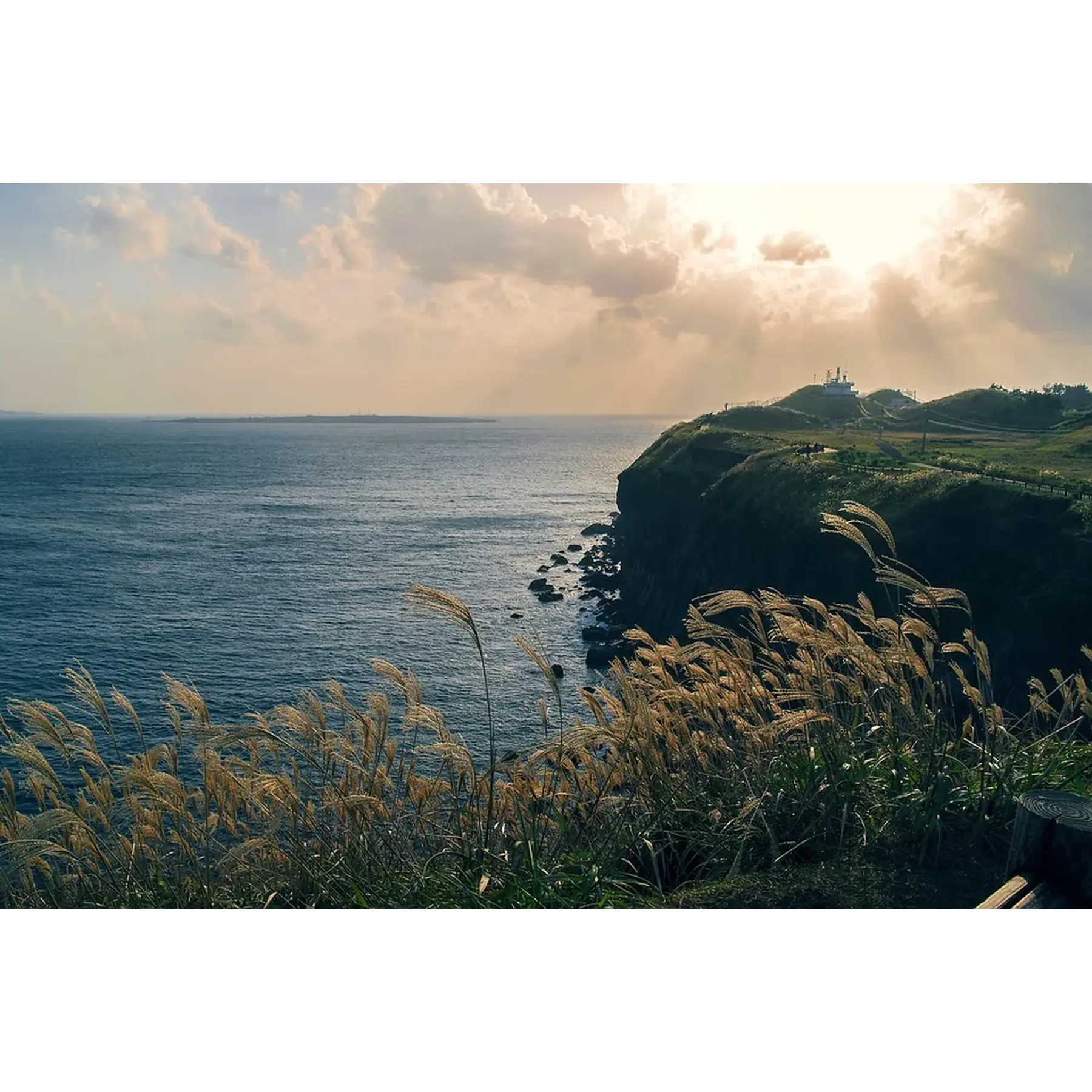 Изображение для выбора фрагмента