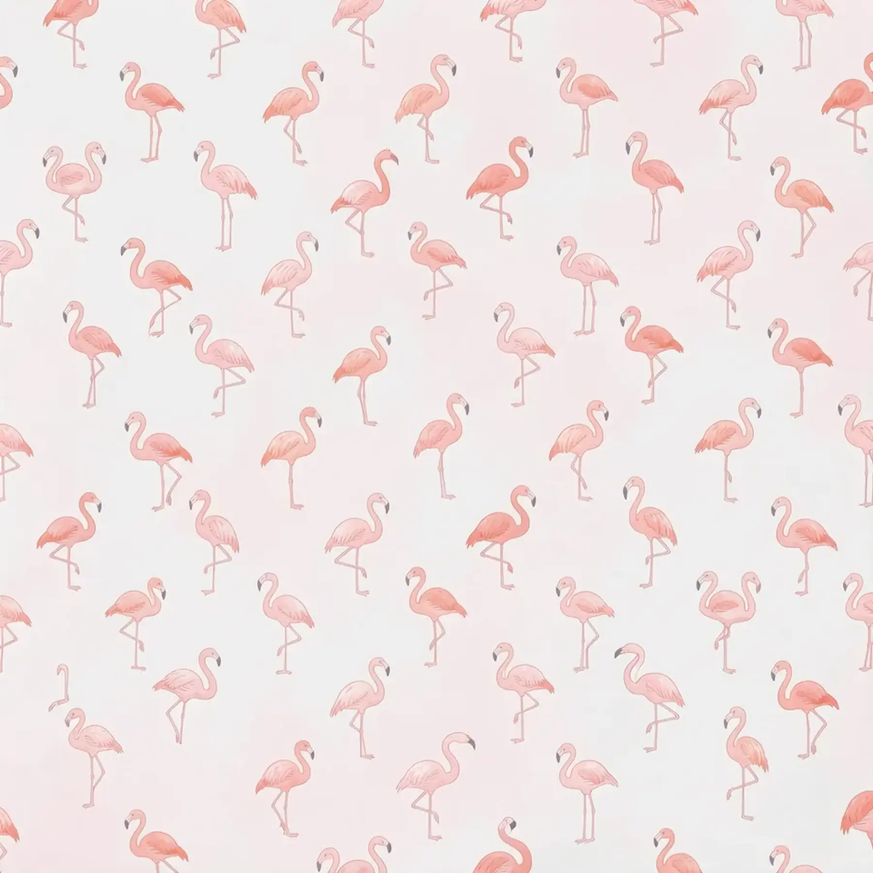 Изображение для выбора фрагмента