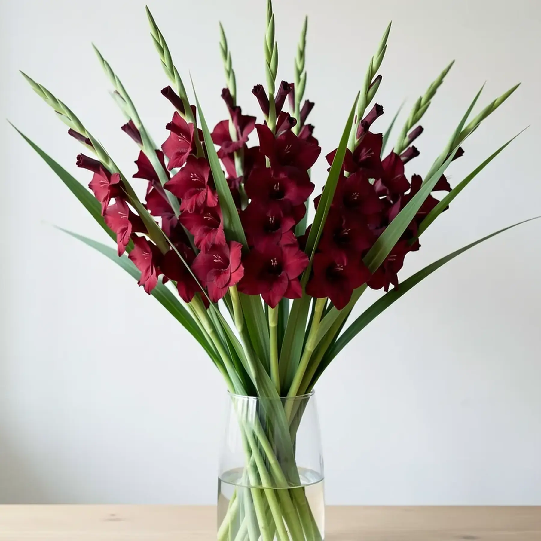 Изображение для выбора фрагмента
