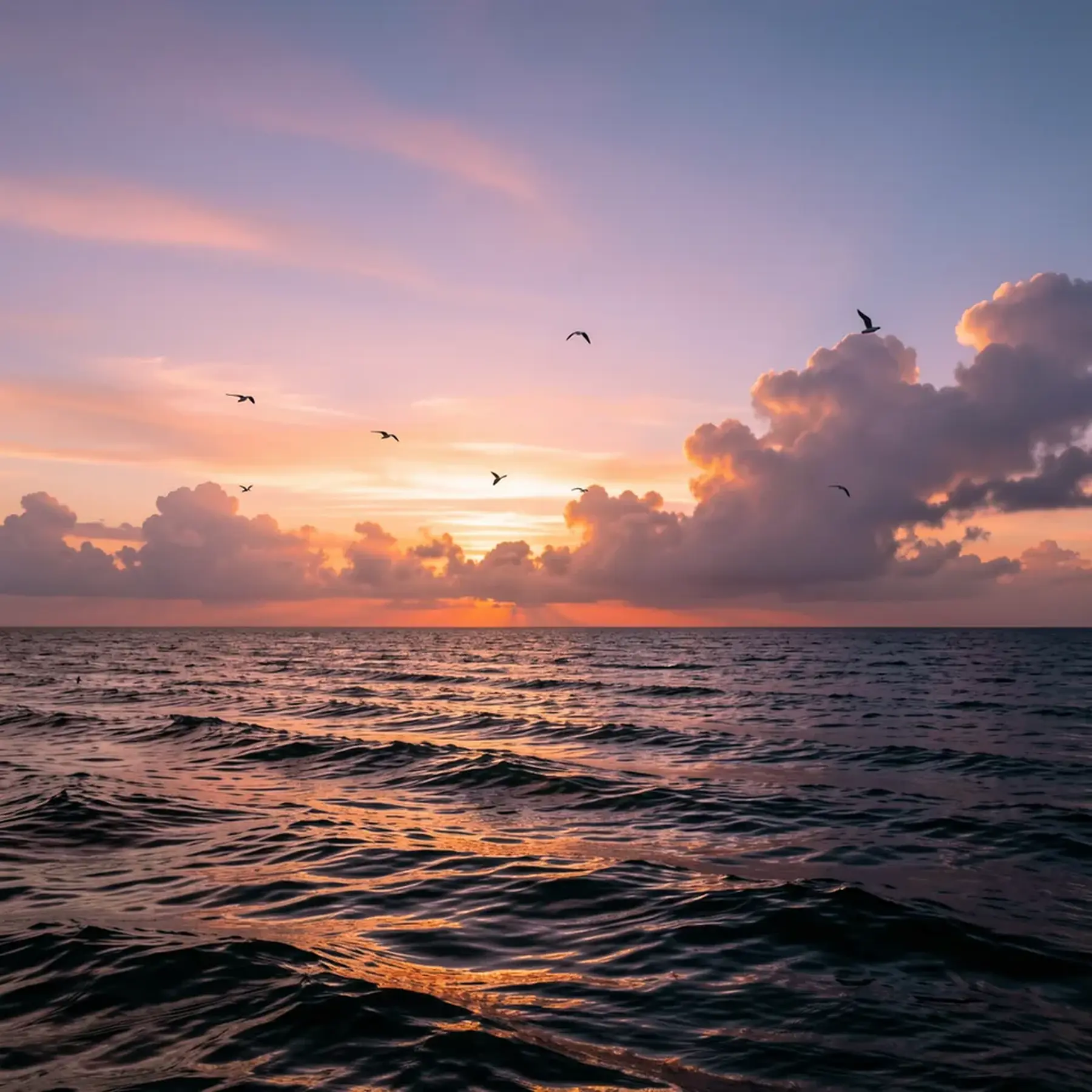 Изображение для выбора фрагмента