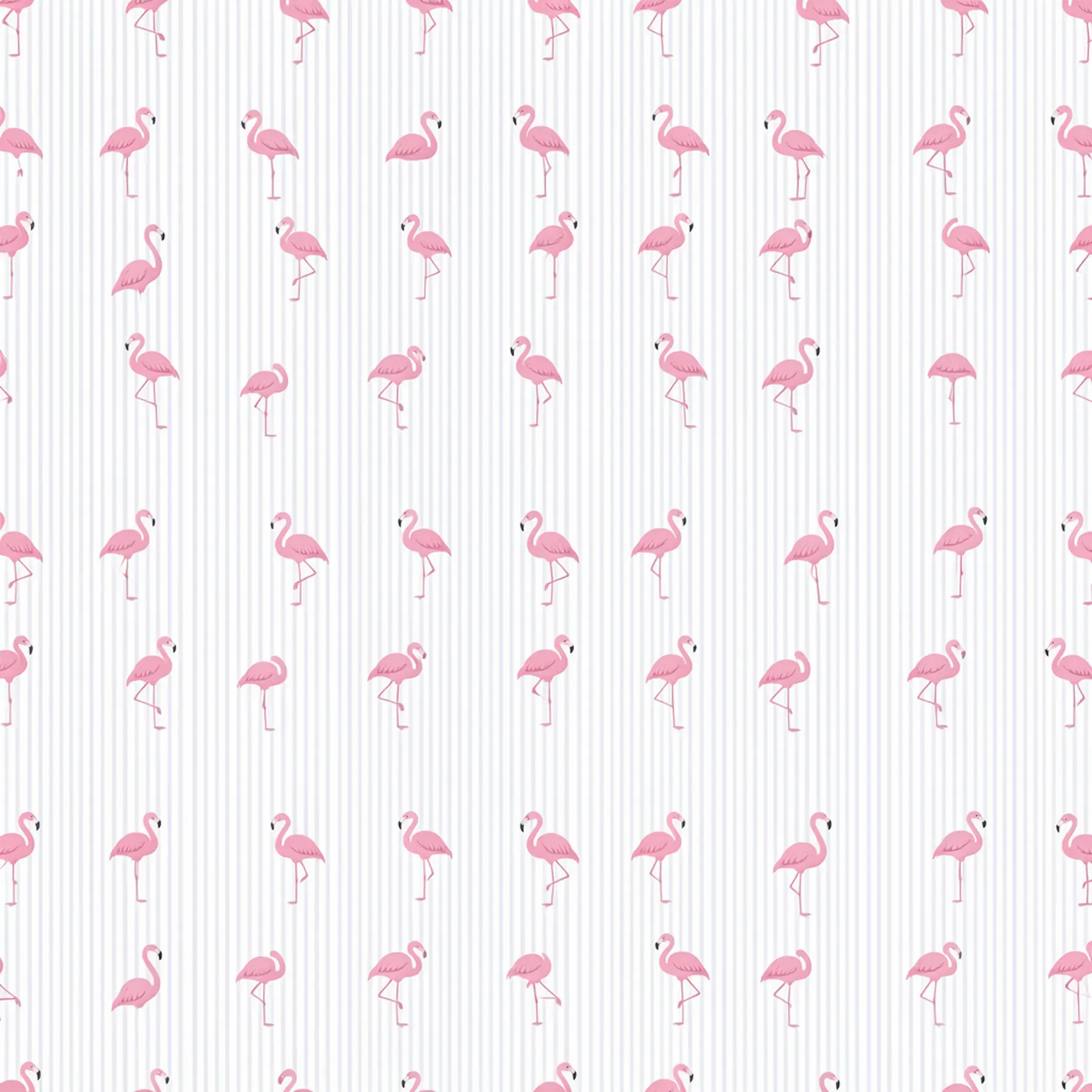 Изображение для выбора фрагмента