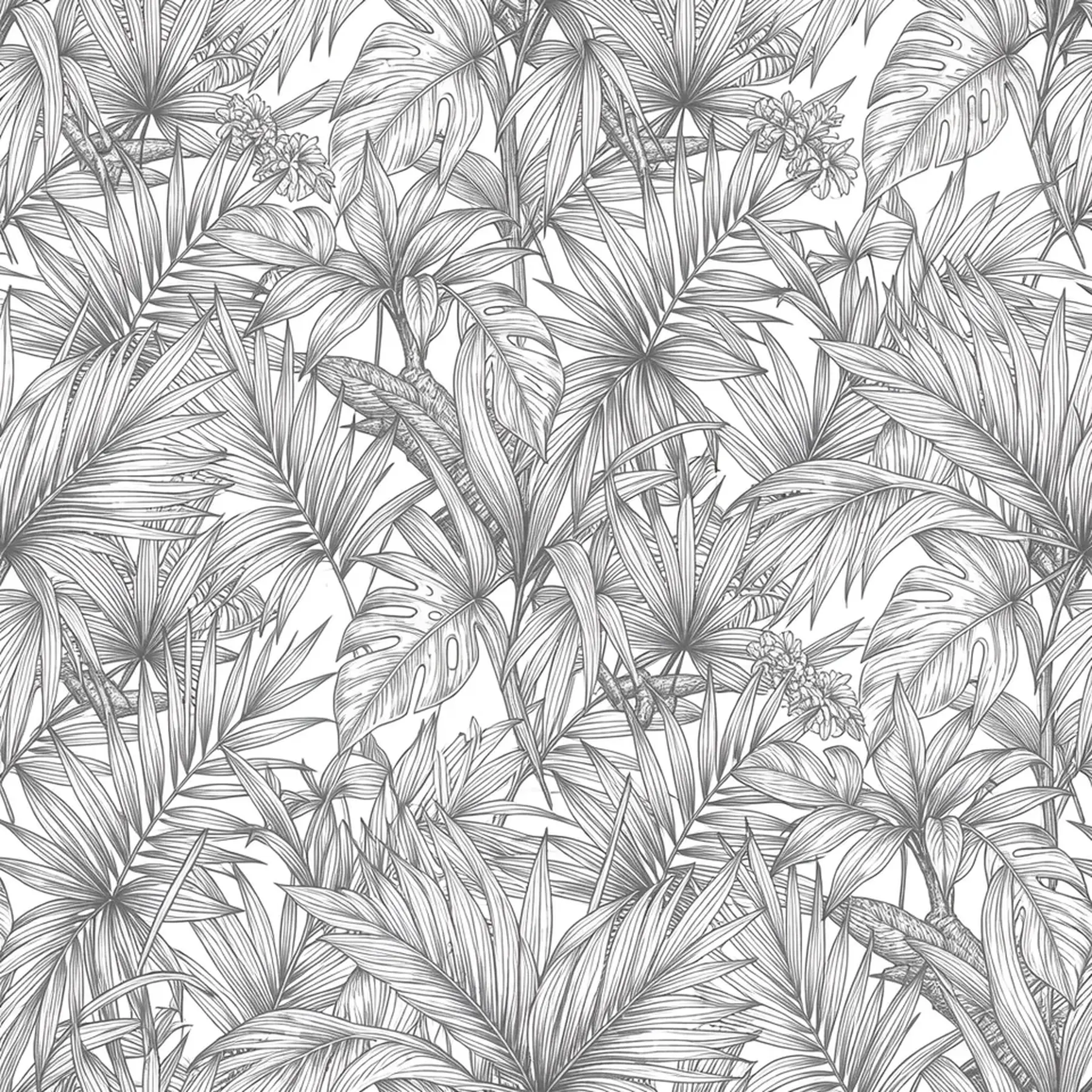 Изображение для выбора фрагмента