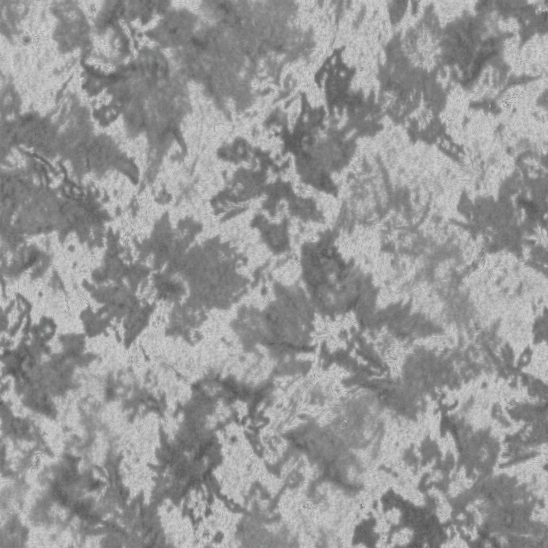 Изображение для выбора фрагмента